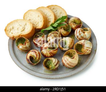 piatto di lumache di escargot al forno ripiene di prezzemolo e burro all'aglio isolato su sfondo bianco Foto Stock