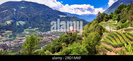 Pittoresco paesaggio italiano. La città di Merano e i suoi castelli. Circondato da montagne alpine e vigneti. Provincia di Bolzano, Italia Foto Stock