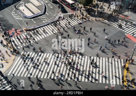 La traversata di Shibuya in Giappone è stata scattata con tecnica a lunga esposizione Foto Stock