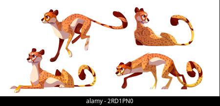 Set di cartoni animati di carattere cheetah in diverse pose isolato su sfondo bianco. Illustrazione vettoriale del gatto selvatico africano che corre veloce, salta, sdraiato, cammina e caccia. Animale esotico, animale da zoo Illustrazione Vettoriale