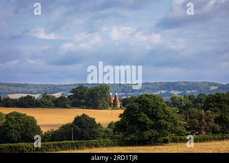 Iconiche case di Oast nella campagna del Kent tra Penshurst e Hever, Inghilterra sud-orientale, Regno Unito Foto Stock