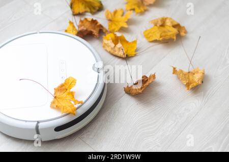 foglie autunnali asciutte e un aspirapolvere robot Foto Stock