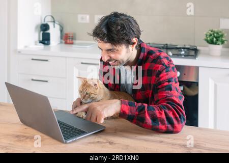 Red Cat siede sulle mani di un freelance vicino al notebook Foto Stock