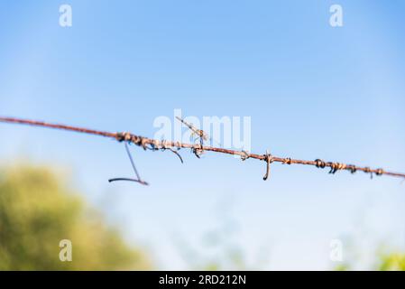 Dragonfly arroccato su un filo sotto un cielo blu Foto Stock