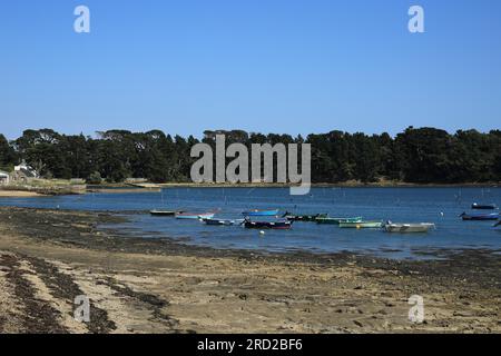 Bassa marea e vista da Port Lagaden, Larmor Baden, Vannes, Morbihan, Bretagna, Francia Foto Stock