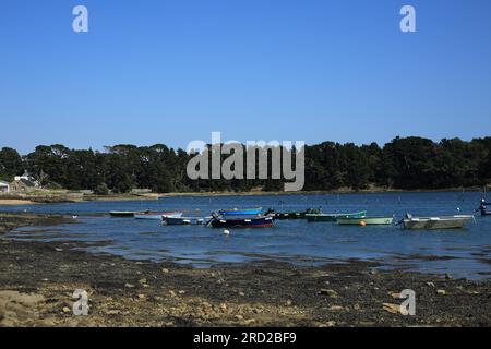 Bassa marea e vista da Port Lagaden, Larmor Baden, Vannes, Morbihan, Bretagna, Francia Foto Stock