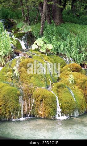 Laghi di Plitvice nell'estate del 2004. Foto analogica acquisita. Foto Stock