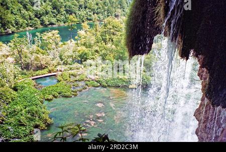 Laghi di Plitvice nell'estate del 2004. Foto analogica acquisita. Foto Stock