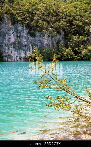 Laghi di Plitvice nell'estate del 2004. Foto analogica acquisita. Foto Stock