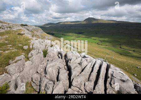 Pavimentazione in pietra calcarea su Twisleton Scar, Scales Moor, che guarda verso Ingleborough, vicino a Ingleton, Yorkshire Dales National Park, Inghilterra Foto Stock