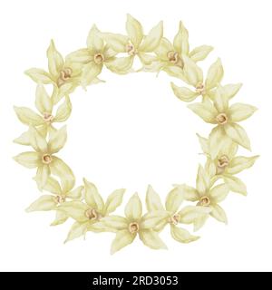 Corona di fiori di vaniglia. Illustrazione ad acquerello disegnata a mano di spezie floreali su sfondo bianco isolato cornice rotonda con orchidee gialle. Bordo floreale per icona o logo. Schizzo a base di erbe per l'etichetta degli alimenti. Foto Stock