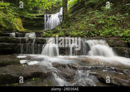 Scaleber Force Waterfall, vicino Settle, Yorkshire Dales, Inghilterra Foto Stock