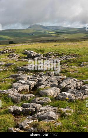 Pavimentazione in pietra calcarea a Winskill Stones, guardando verso Pen-y-ghent, vicino a Stainforth, Ribblesdale, Yorkshire Dales National Park, Inghilterra Foto Stock