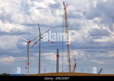 Radegast, Germania. 18 luglio 2023. Una gru lavora nel cantiere di un nuovo parco eolico. L'espansione delle turbine eoliche onshore sta facendo progressi in Germania. Nella prima metà del 2023 furono erette 331 turbine eoliche con una capacità totale di circa 1,56 gigawatt. Credito: Jens Büttner/dpa/Alamy Live News Foto Stock