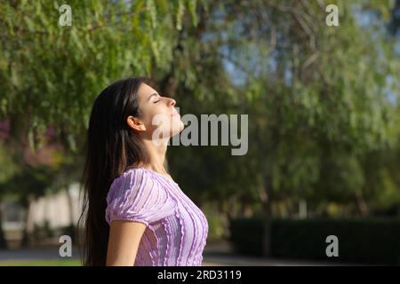 Profilo di una donna rilassata in un parco che respira aria fresca Foto Stock