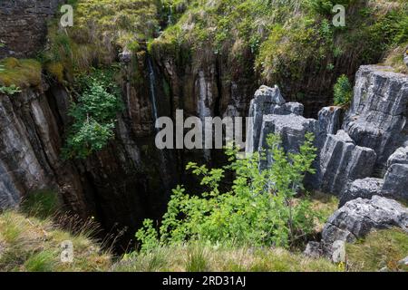 Buttertubs, doline calcaree al Buttertubs Pass, vicino a Hawes, Yorkshire Dales National Park, Inghilterra Foto Stock