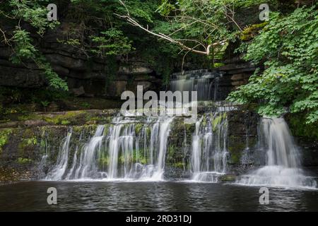 Cascata Cotter Force, vicino a Hawes, Wensleydale, Yorkshire Dales National Park, Inghilterra Foto Stock