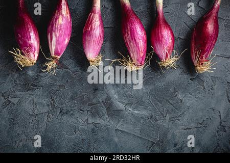 Cipolle germogliate cresciute a casa su uno sfondo scuro con uno spazio di copia per la vista superiore del testo. Cibo crudo, prodotto ecologico. Foto Stock
