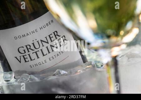 Grüner Veltliner Domaine Huber "singola azienda" vino austriaco in un refrigeratore all'aperto con bicchiere di vino Grüner Veltliner in primo piano Foto Stock