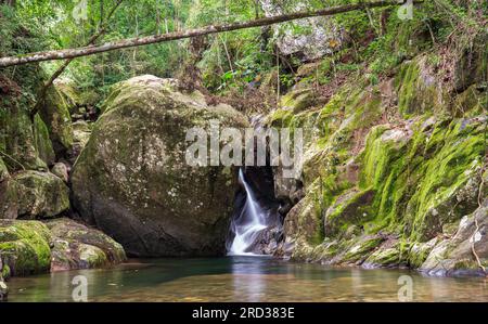 Cascata nascosta che si trova nella lussureggiante foresta pluviale. Foto Stock