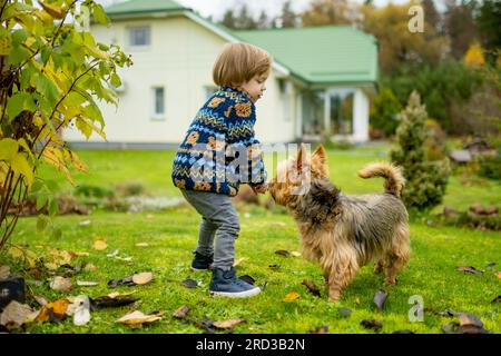 Bambino che gioca con il cane australiano terrier di pedigreed in un giardino autunnale. Ritratto autunnale di abbronzatura nera e zibellina tipica terr australiana Foto Stock