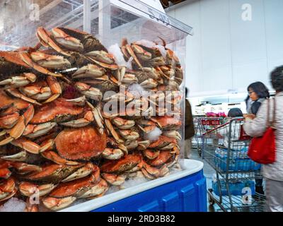 Granchi Dungeness in vendita in un grande negozio multi-buy all'ingrosso a San Francisco California USA Foto Stock