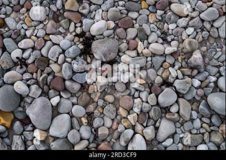 Spiaggia di ciottoli colorati Foto Stock