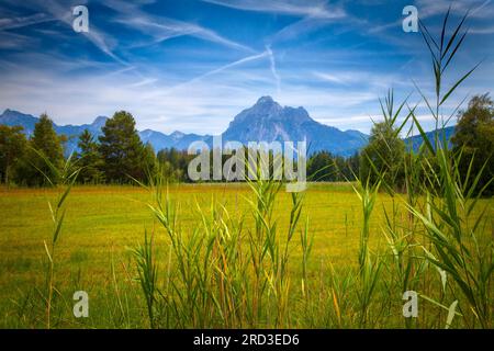 DE - BAVARIA/Allgäu: Scenario della brughiera lungo il lago Hopfensee vicino a Füssen con il monte Säuling sullo sfondo. Foto Stock