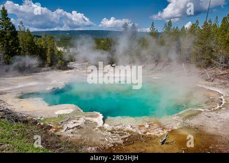 Emerald Spring, Norris Geyser Basin, Yellowstone National Park, Wyoming, Stati Uniti d'America Foto Stock