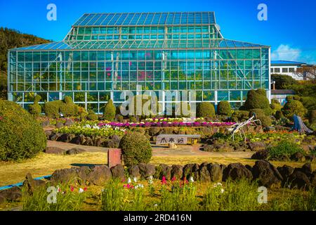 Il Parco dei Fiori di Tsumekizaki include una serra dove potete apprezzare frutti tropicali e piante subtropicali come banane, papaya, bougainvill Foto Stock