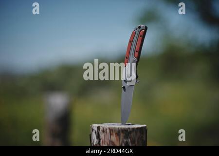 Il coltello pieghevole è bloccato nel ceppo di legno contro la foresta di sfondo.strumento per attività ricreative all'aperto Foto Stock