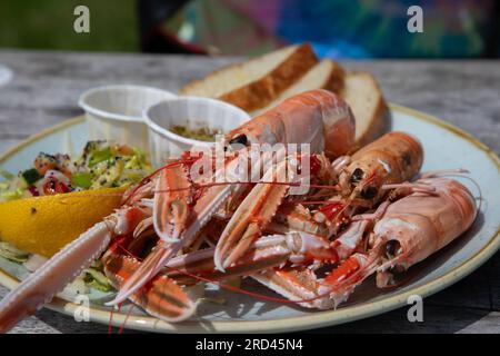 Le Langoustines scozzesi mangiavano all'aperto sull'isola di Ulva, in Scozia Foto Stock