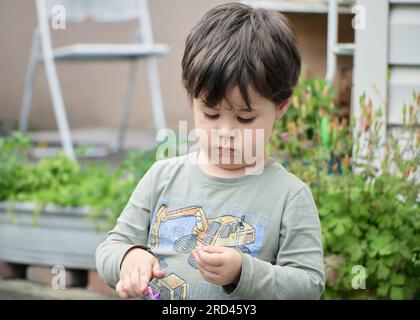 Il curioso bambino sta giocando con un fiore viola nel cortile Foto Stock