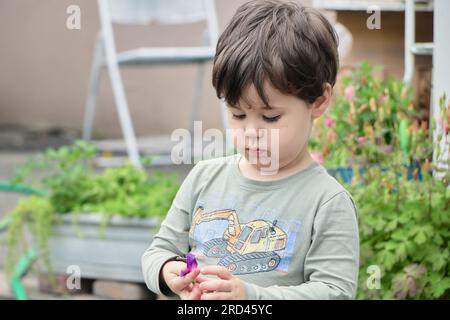 Il curioso bambino sta giocando con un fiore viola nel cortile Foto Stock