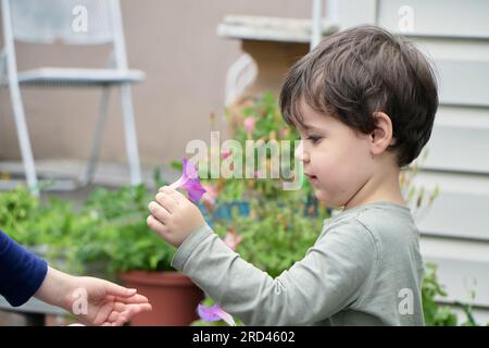 Il curioso bambino sta giocando con un fiore viola nel cortile Foto Stock