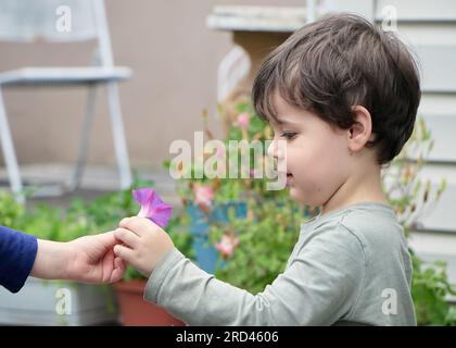 Il curioso bambino sta giocando con un fiore viola nel cortile Foto Stock