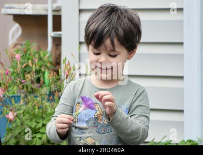 Il curioso bambino sta giocando con un fiore viola nel cortile Foto Stock