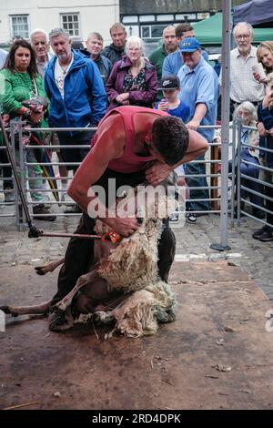 Dimostrazione di tosatura delle pecore a una fiera delle pecore nel mercato di Ashbourne, Derbyshire, Inghilterra Foto Stock