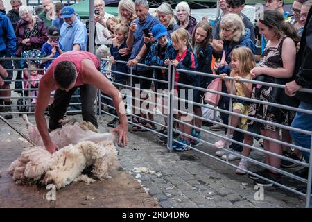 Dimostrazione di tosatura delle pecore a una fiera delle pecore nel mercato di Ashbourne, Derbyshire, Inghilterra Foto Stock