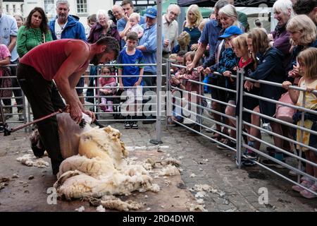 Dimostrazione di tosatura delle pecore a una fiera delle pecore nel mercato di Ashbourne, Derbyshire, Inghilterra Foto Stock