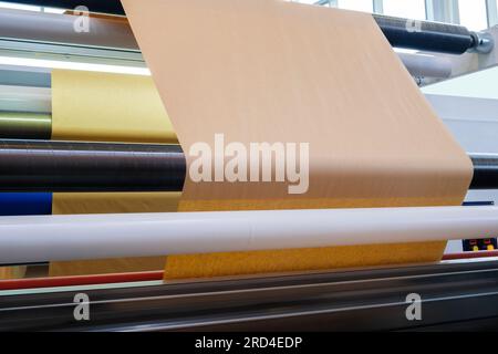 Stampa e confezionamento da rotoli di carta riciclata, macchina confezionatrice di buste industriale commerciale, fabbricazione di carta ondulata e contenitori di pappa Foto Stock