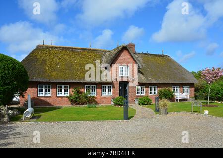 Casa tatuata a Wenningstedt, Sylt, Isole Frisone, Mare di Wadden, Germania Foto Stock