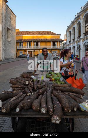 Cartagena, Bolivar, Colombia – 17 febbraio 2023: Colombiano Brown Man gestisce una frutta e verdura Stand on Wheels con un sacco di yucche e mostra il Foto Stock