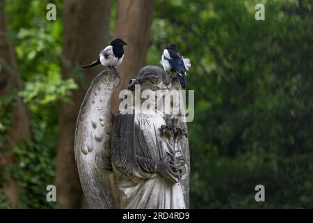 Londra, Regno Unito - 16 luglio 2023: Highgate Cemetery East a Londra, Inghilterra. Foto Stock