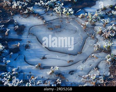 Ghiaccio su un campo, pozzanghera congelata, fiori di ghiaccio, forme naturali nel ghiaccio, modelli di ghiaccio, struttura di ghiaccio Foto Stock