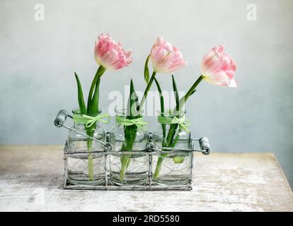 Tre delicati fiori di tulipano rosa in piccoli vasi di vetro con cestino decorativo Foto Stock