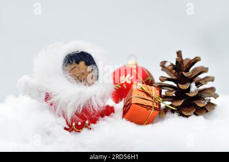Decorazione natalizia, Inuit con palla d'albero di Natale e cono di pino e regalo di Natale adagiato nella neve Foto Stock