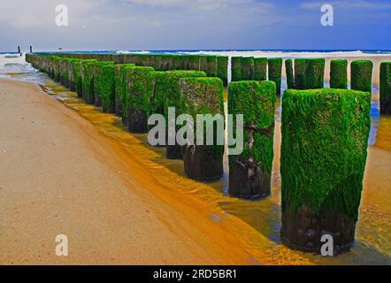 Groynes, Domburg, Walcheren, Breakwater, Paesi Bassi Foto Stock