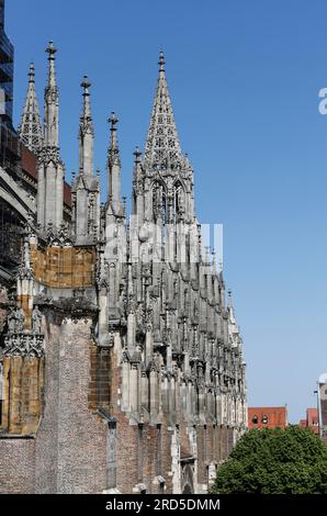 Cattedrale di Ulm, dettagli navata sud, dietro la torre sud, edificio sacrale, chiesa, Facciata, architettura, Ulm, Baden-Wuerttemberg, Germania Foto Stock