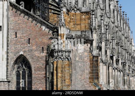 Cattedrale di Ulma, lato destro della torre ovest, creature mitiche, figure in pietra, statue, navata sinistra lato sud, dettagli, parete, vetrate colorate, sacrale Foto Stock
